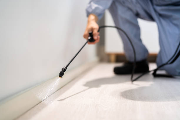 Bed Bug Pre-Treatment Preparation Assessment in Kaser