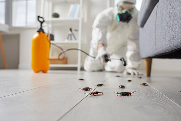 Post-Treatment Bed Bug Interceptor Monitoring in Kaser
