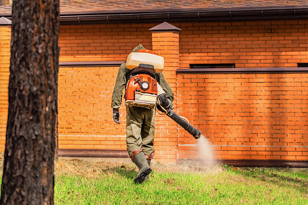 Bed Bug Clearance Verification and Documentation in Kaser